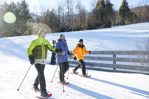 Group of snowshoers on a snowy trail