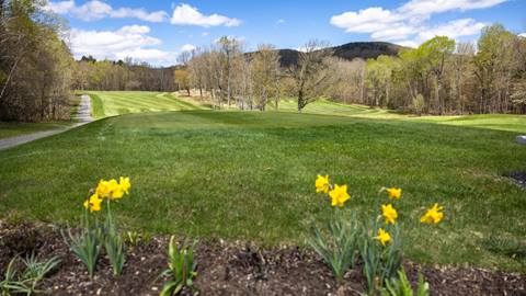 A ground view of the golf course with daffodils, green trees and blue skies 