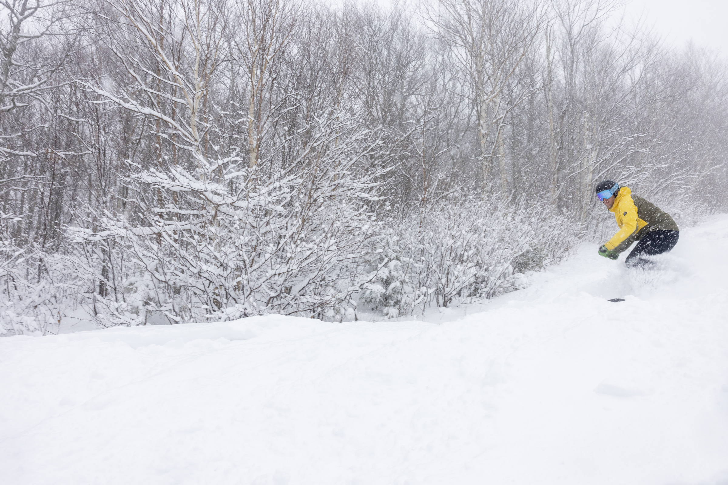 Sugarbush Powder Day