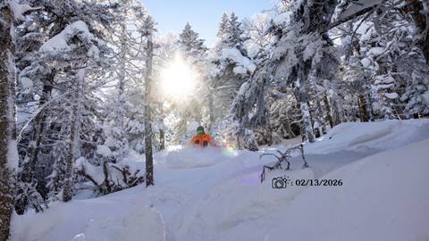 skier in woods in deep powder with sun shining