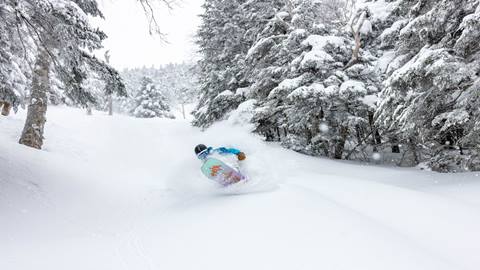 snowboarder coming out of trees in deep snowy powder