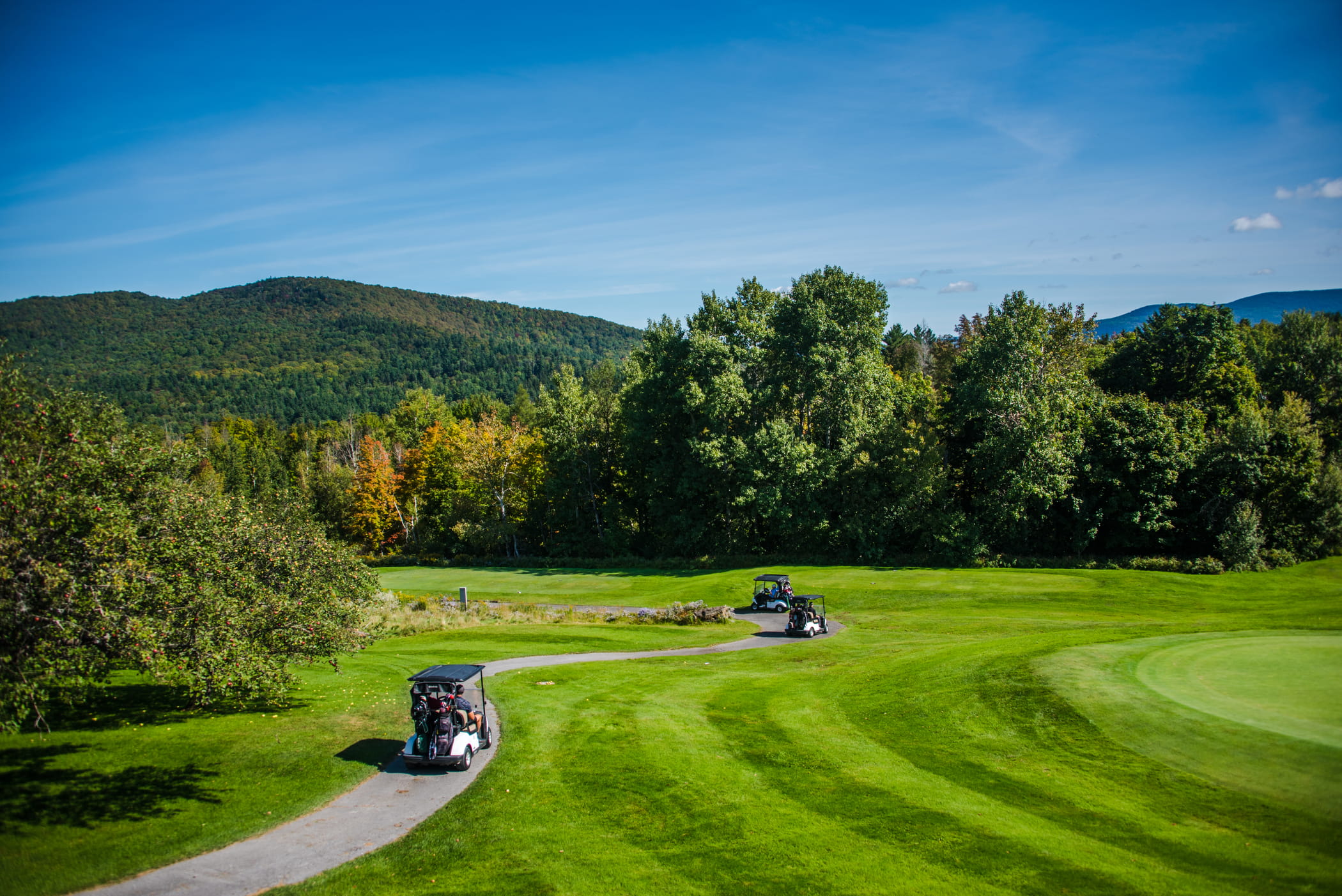 Golf Cart View at Sugarbush