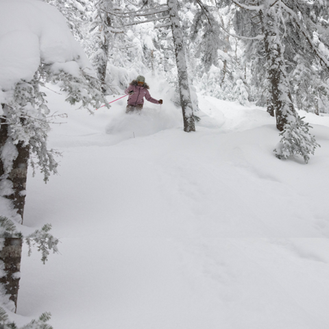 Joey skiing in powder in a pink jacket.