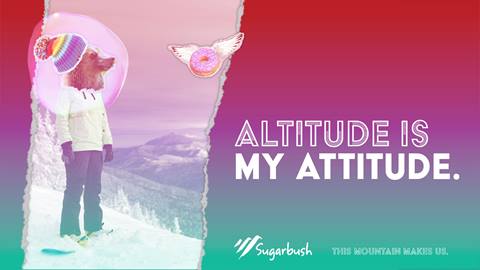 This Mountain Makes Us Mama Bear ad