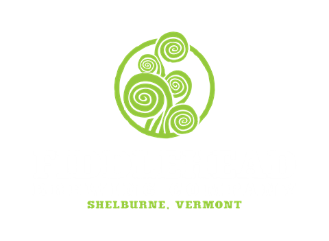 Fiddlehead Brewing Graphic Logo