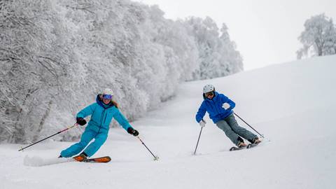 two skiers wearing blue in powdery snow