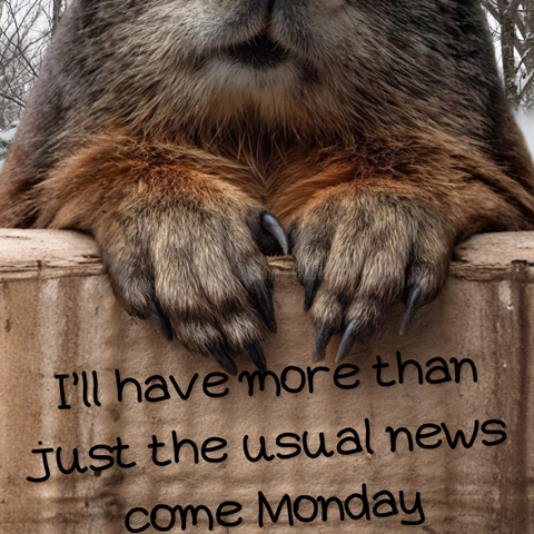 Groundhog with a sign