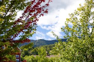 Scenic Sugarbush 