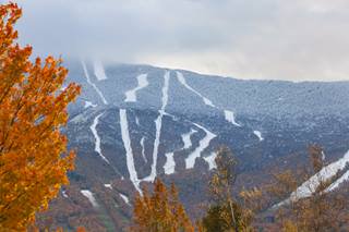 Snowliage