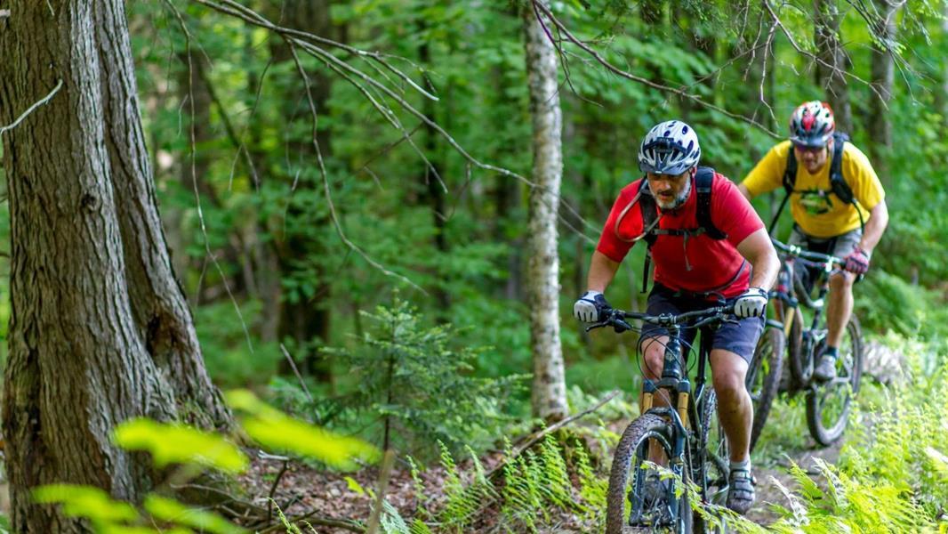 2015-06-09_SU_JA_MountainBikingDownhillSummer_0001.jpg