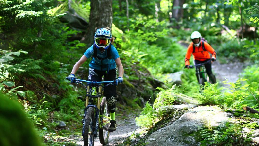 Two Mountain Bikers