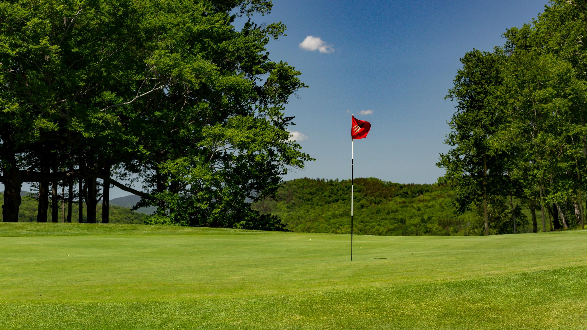 Golf tee scenic