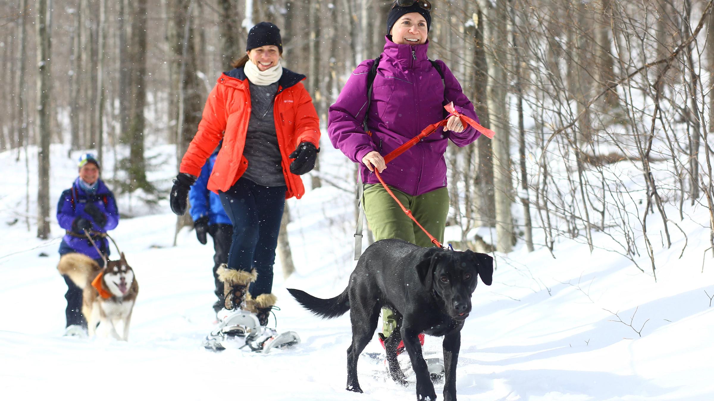 Friends snowshoeing with a dog