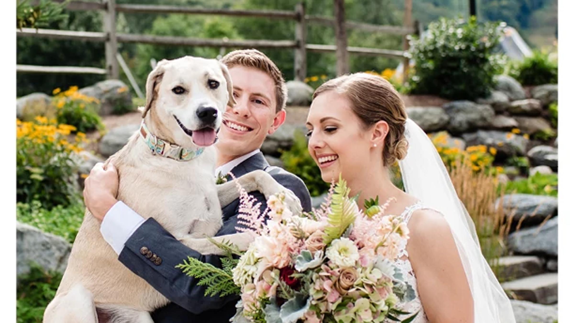 Bride and groom with a dog