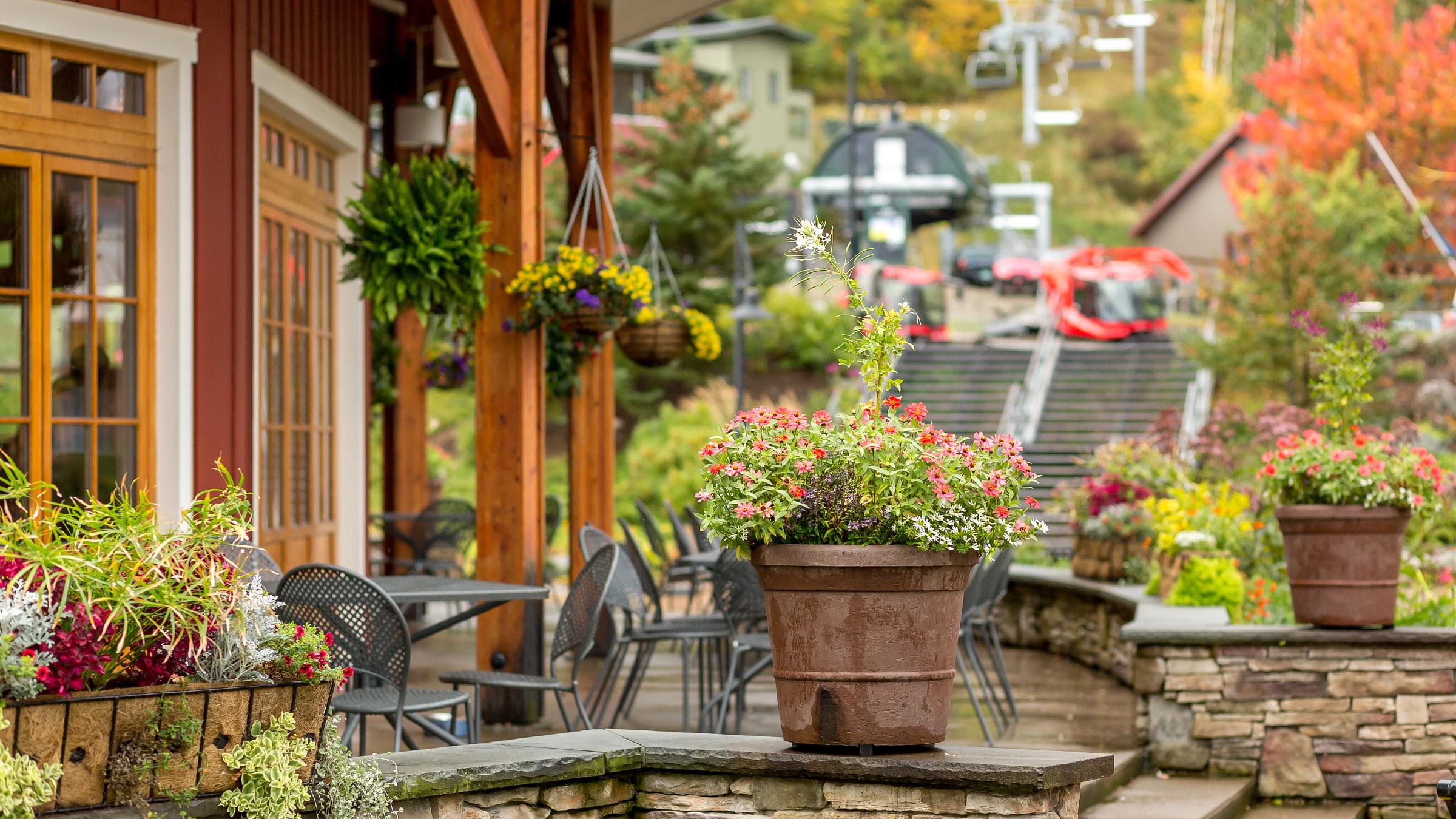 Rumble's Bistro & Bar Courtyard dining