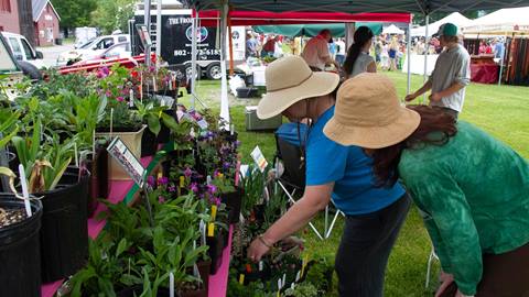 Summer Farmers Market in the Mad River Valley