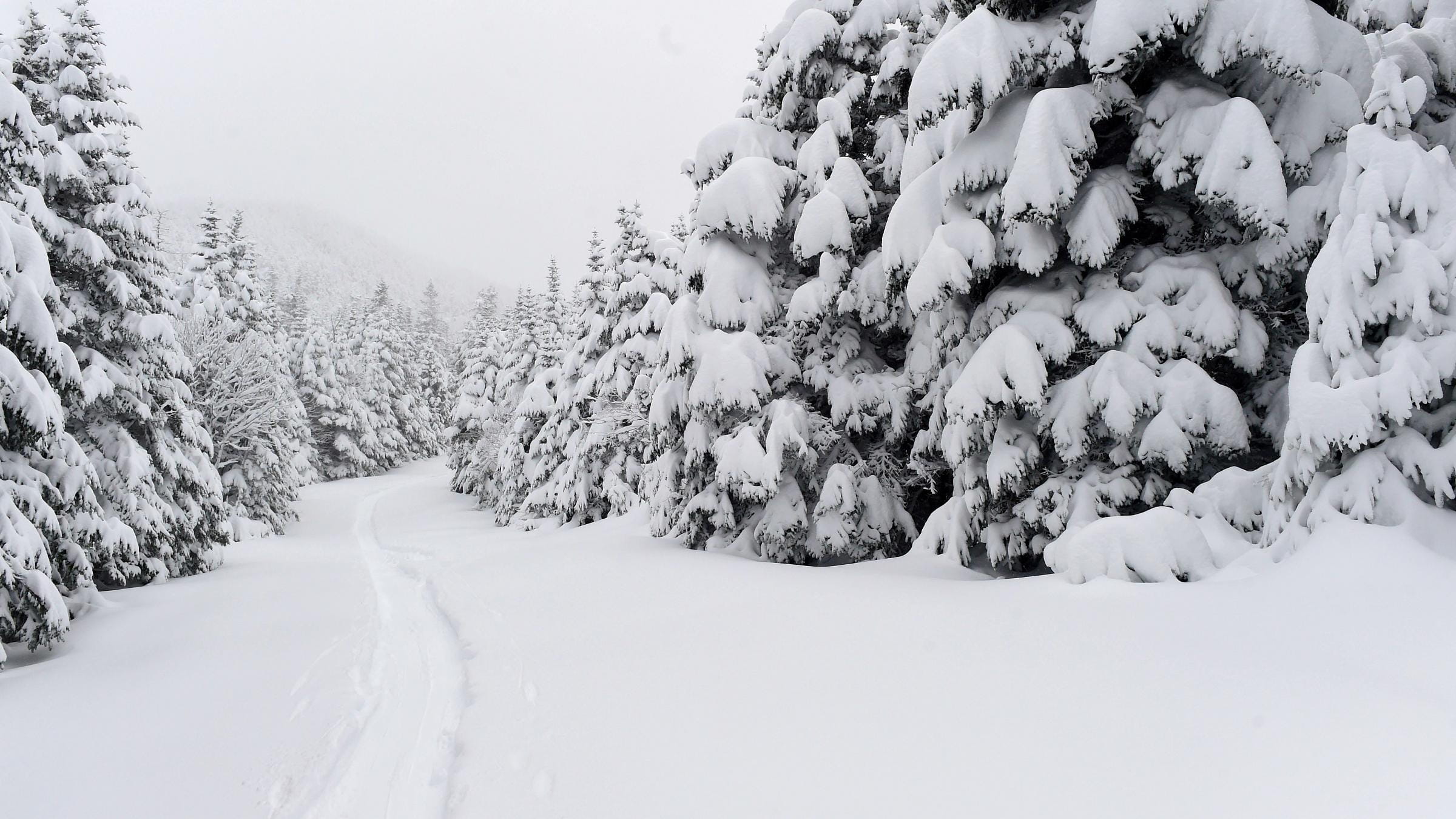Single track in powder