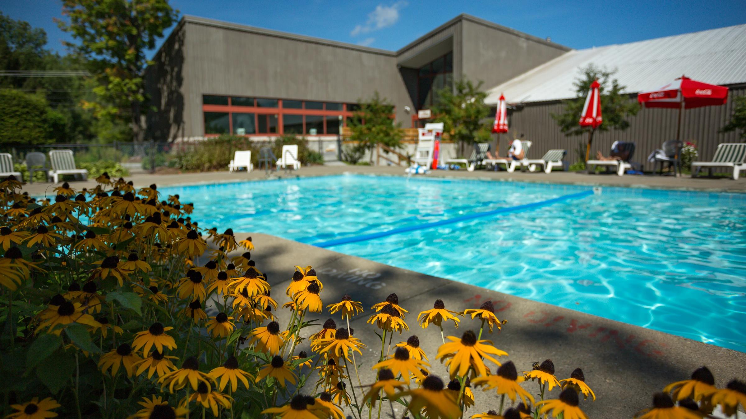 SHaRC pool during the summer