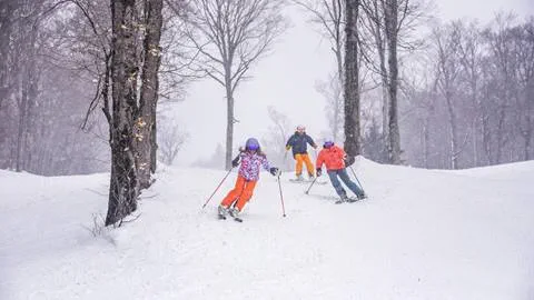 3 Friends Skiing Trees